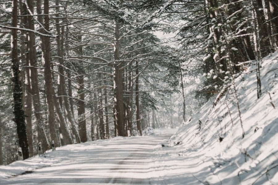 Προγραμμάτισε τις Χριστουγεννιάτικες διακοπές σου σε καταλύματα έως ‑ 70%