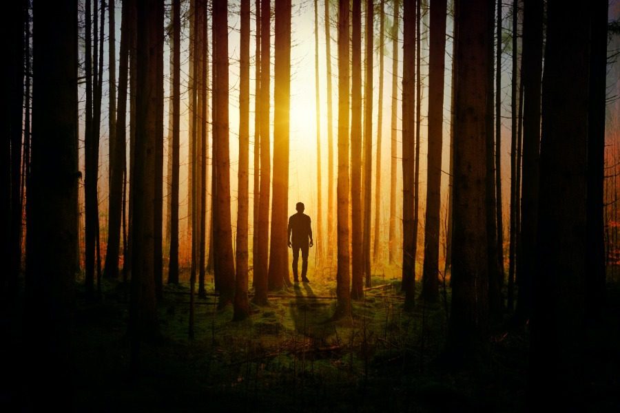 Ανδρας χάθηκε στο δάσος και είχε μια παράξενη ιδέα για να επιβιώσει