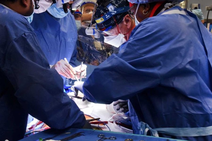 Επανάσταση στην Ιατρική: Μεταμόσχευση καρδιάς για πρώτη φορά από χοίρο σε άνθρωπο