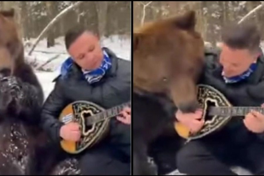 Λαρισαίος έγινε viral παίζοντας μπουζούκι στα χιόνι με μια αρκούδα δίπλα του να τον γλείφει