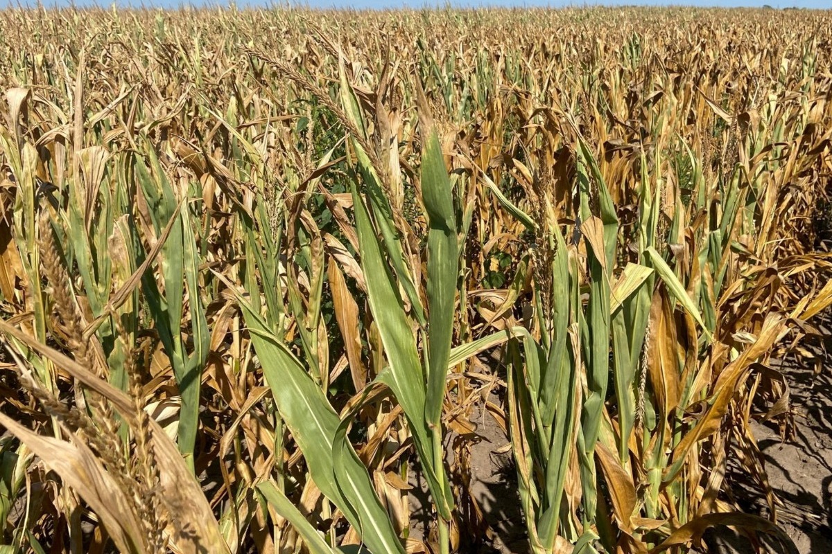 Η ξηρασία μας «χτυπά» την πόρτα