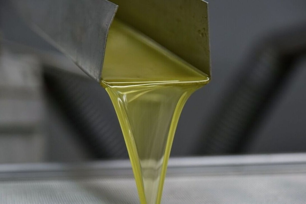 Πώς έγινε η κλοπή ‑ «μαμούθ» ελαιόλαδου στη Χαλκιδική ‑ «Έβγαζαν λίγο λίγο 52 τόνους»