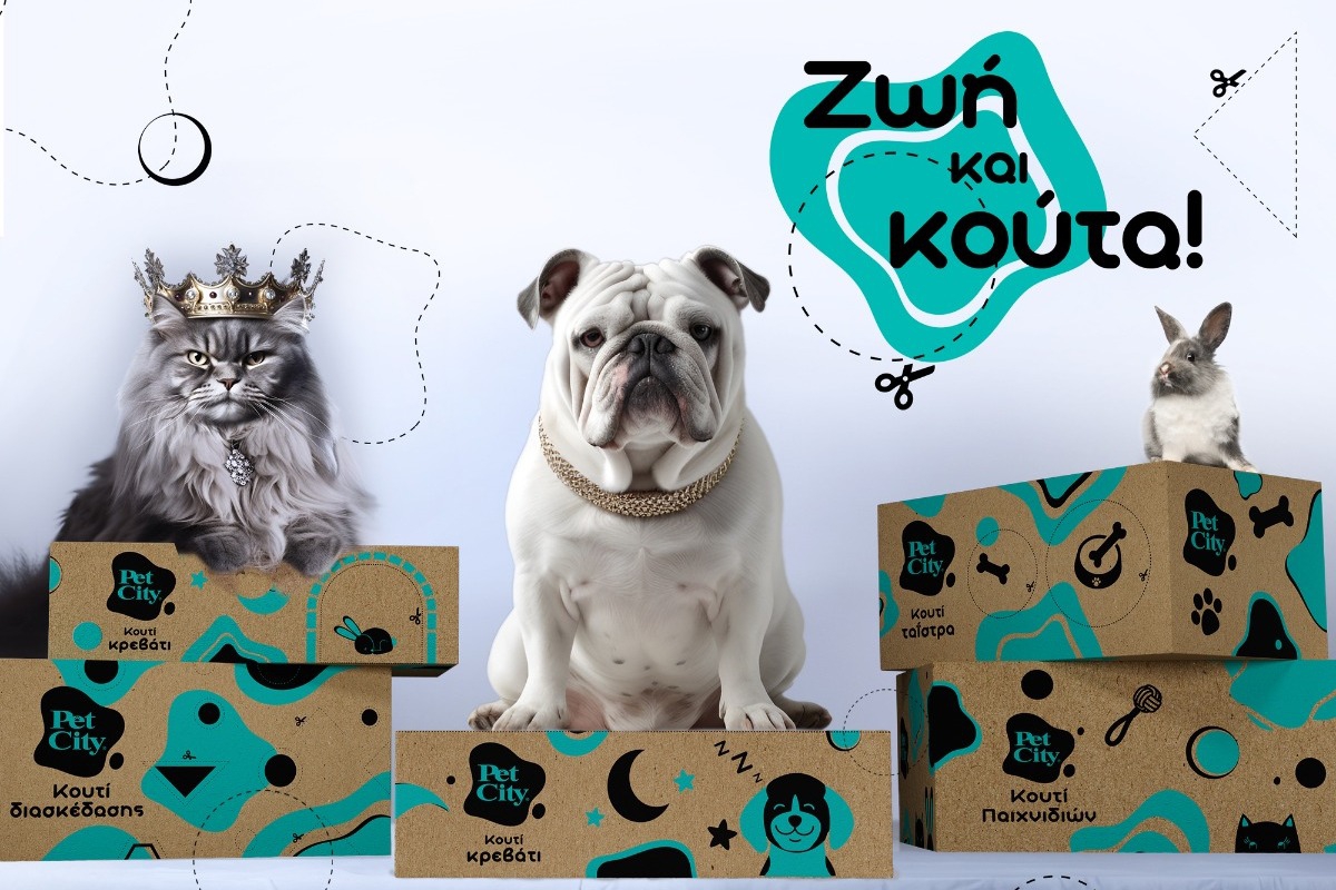 Νέα Κουτιά Pet City για … «Ζωή και Κούτα»