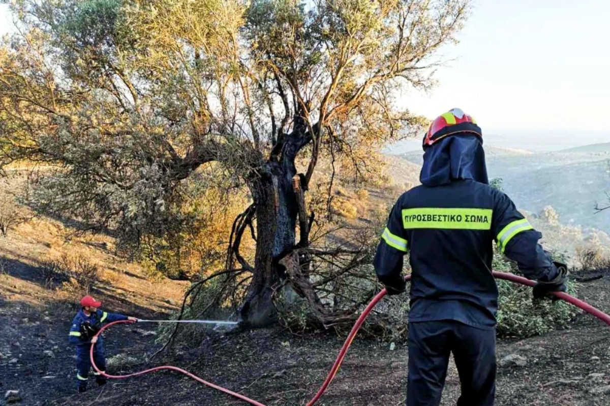 Φωτιά στην Κάρυστο ‑ «Οι φλόγες καίνε μέσα σε παραθεριστικές κατοικίες», λέει ο δήμαρχος