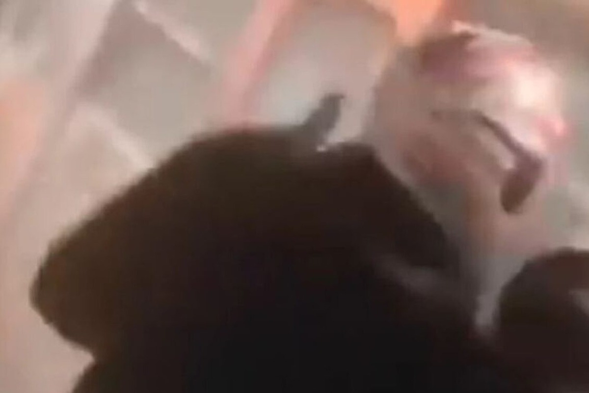 Μοναστηράκι: Η στιγμή της επίθεσης με εύφλεκτο υγρό σε συρμό του ΗΣΑΠ ‑ «Κάψτους, κάψτους»