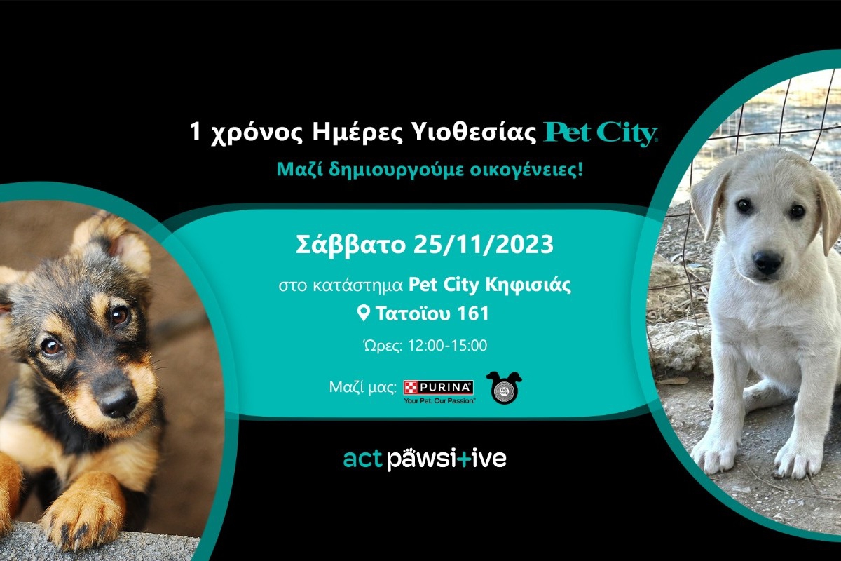 Ένας χρόνος Ημέρες Υιοθεσίας Pet City