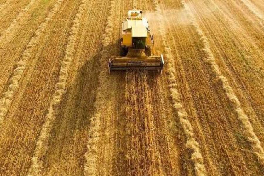 Τρίπολη: Αγρότης δίνει τζάμπα τα χωράφια του και δεν τα παίρνει κανείς