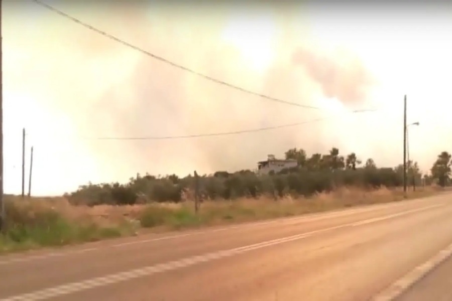 Τρόμος της δημοσιογράφου της ΕΡΤ από τις εκρήξεις στη Νέα Αγχίαλο