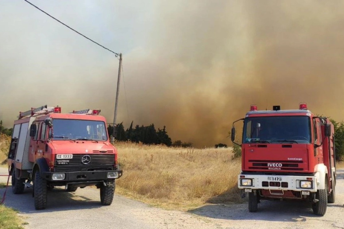 Φωτιά στην Αλεξανδρούπολη: Μάχη με τις φλόγες σε Νίψα, Δωρικό και Αμφιτρίτη