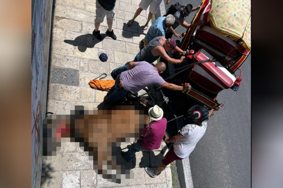 Κέρκυρα: Αλογο τουριστικής άμαξας ξεψύχησε στη μέση του δρόμου