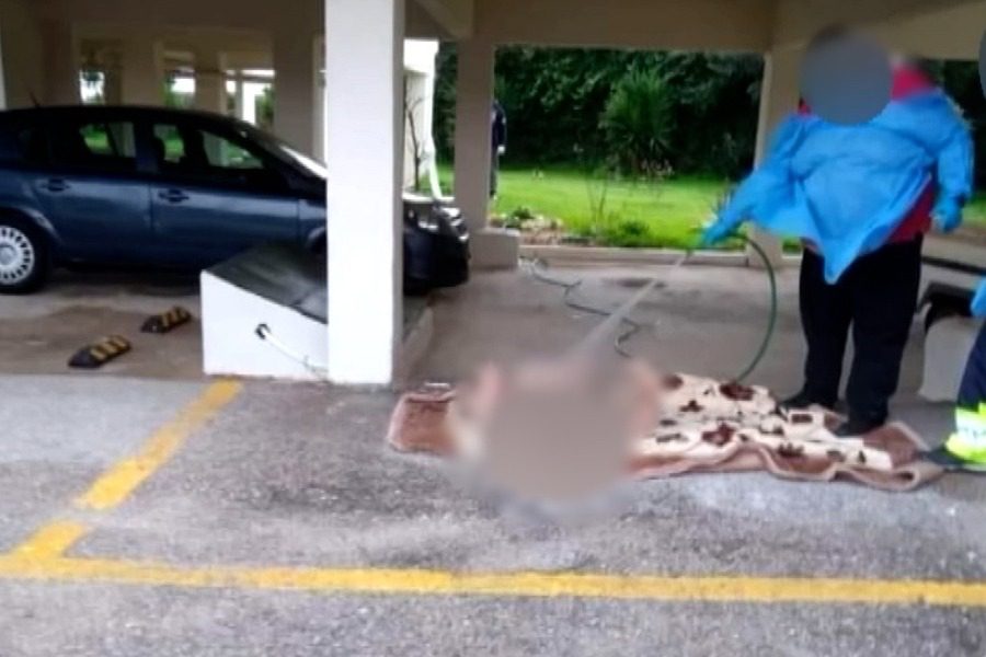 Ωρωπός: Σε αργία ένας εκ των δύο υπαλλήλων που ευθύνονται για τις εικόνες της ντροπής