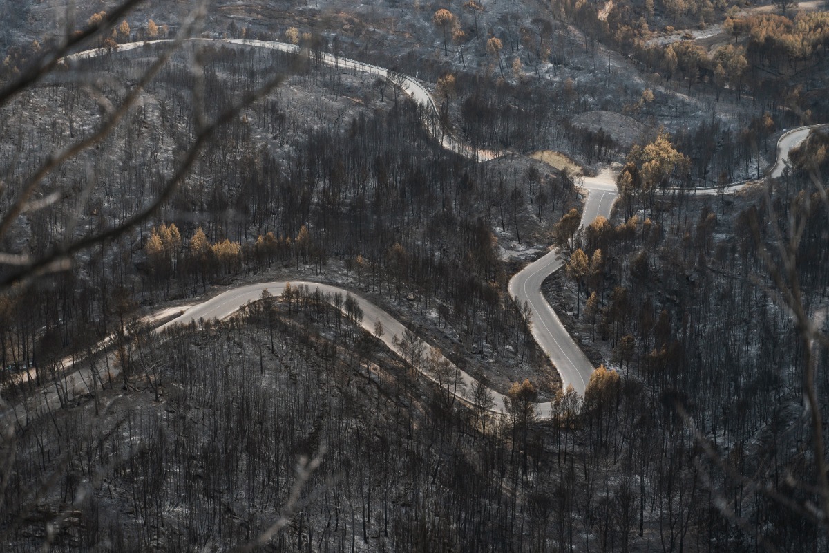 Στάχτη και αποκαϊδια έγιναν 1.400.000 στρέμματα γης ‑ Σε μόλις ενάμιση μήνα καταστράφηκε το 2.5% της βλάστησης της χώρας