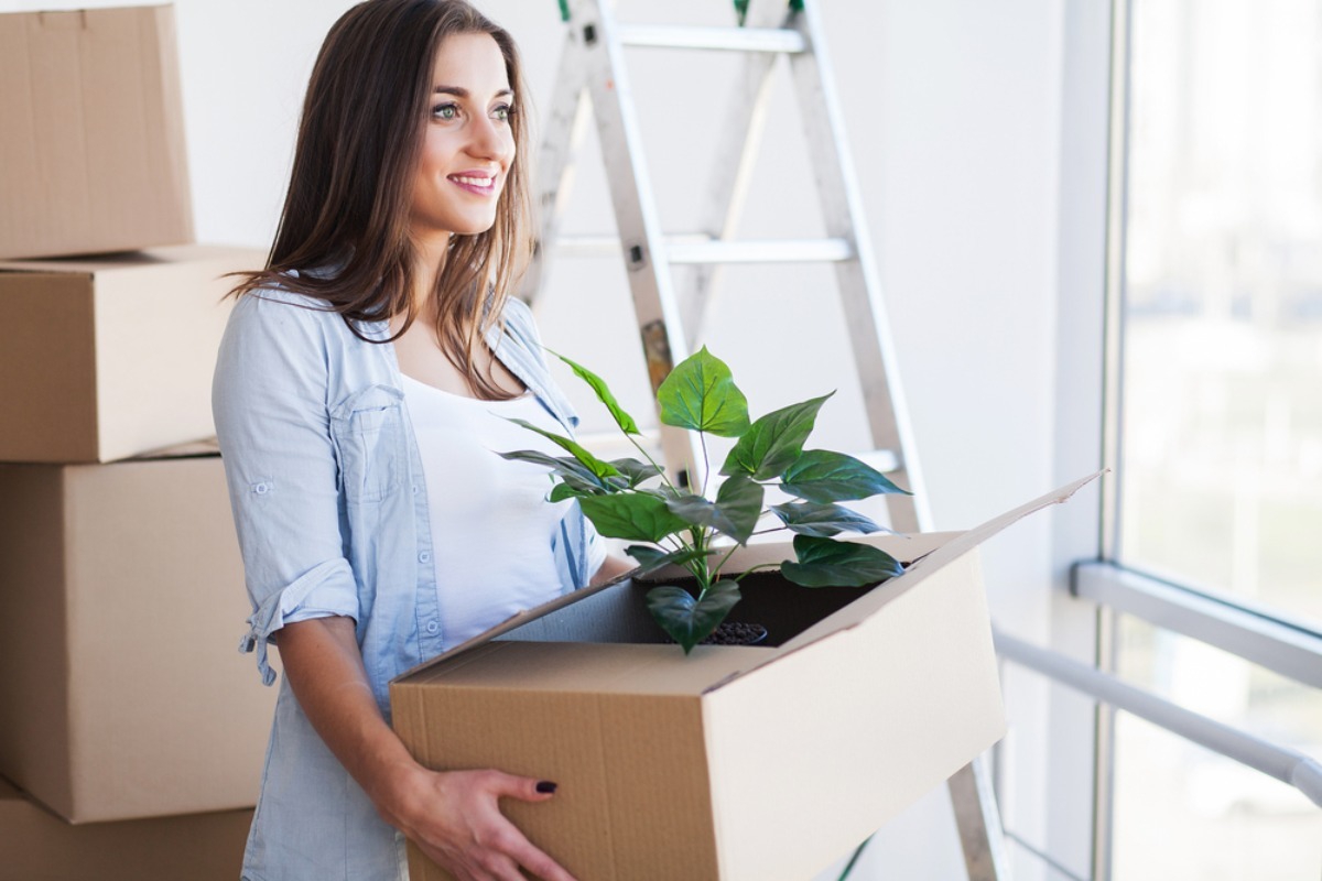 Μετακομίζεις; Έτσι θα μεταφέρεις τα φυτά σου με ασφάλεια χωρίς να καταστραφούν