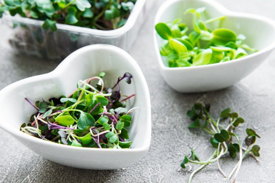 Microgreens: Εσύ τα έχεις δοκιμάσει;