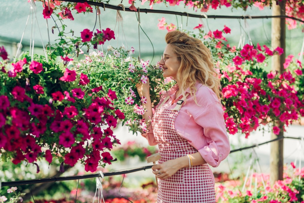 Πώς θα φροντίσεις τα φυτά σου μετά το καλοκαίρι