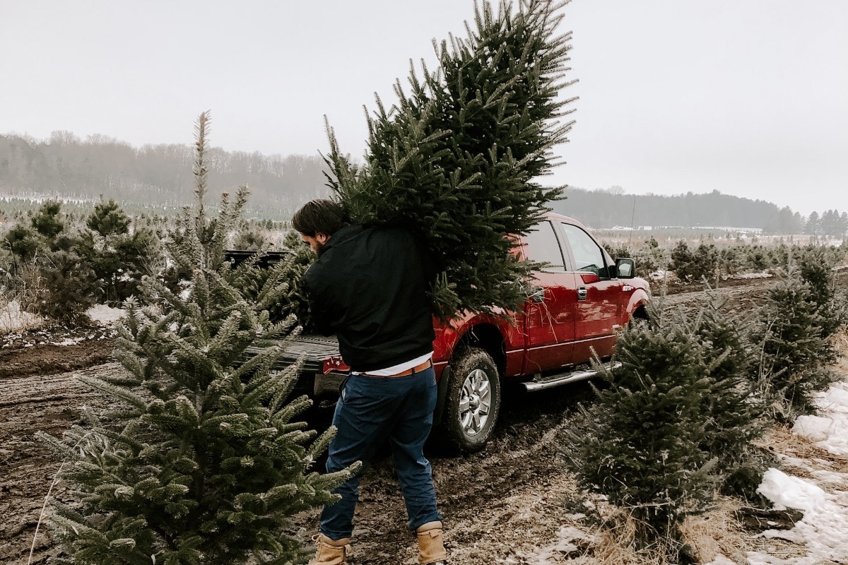 Πώς να μη σου μαραθεί γρήγορα ένα αληθινό χριστουγεννιάτικο δέντρο