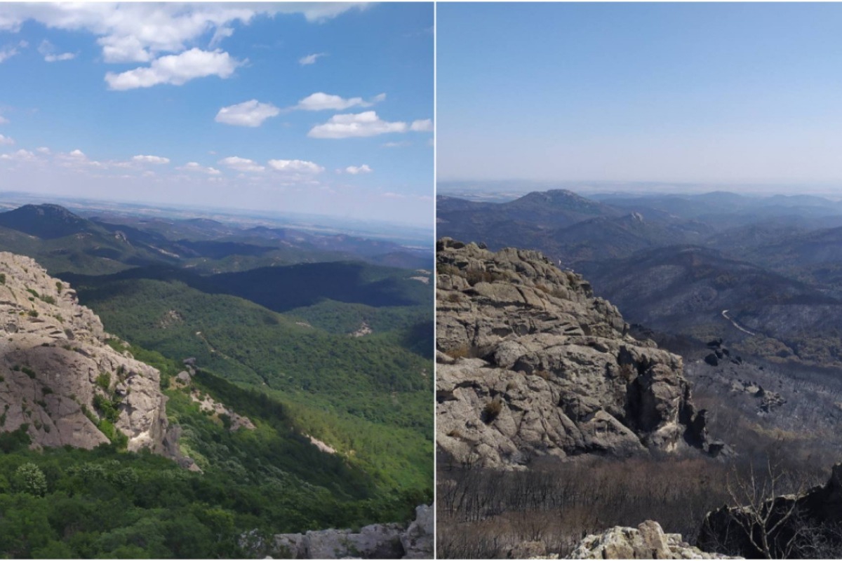 Έβρος: Σοκαριστικές εικόνες από το πριν και το μετά της μεγάλης πυρκαγιάς στην Δαδιά