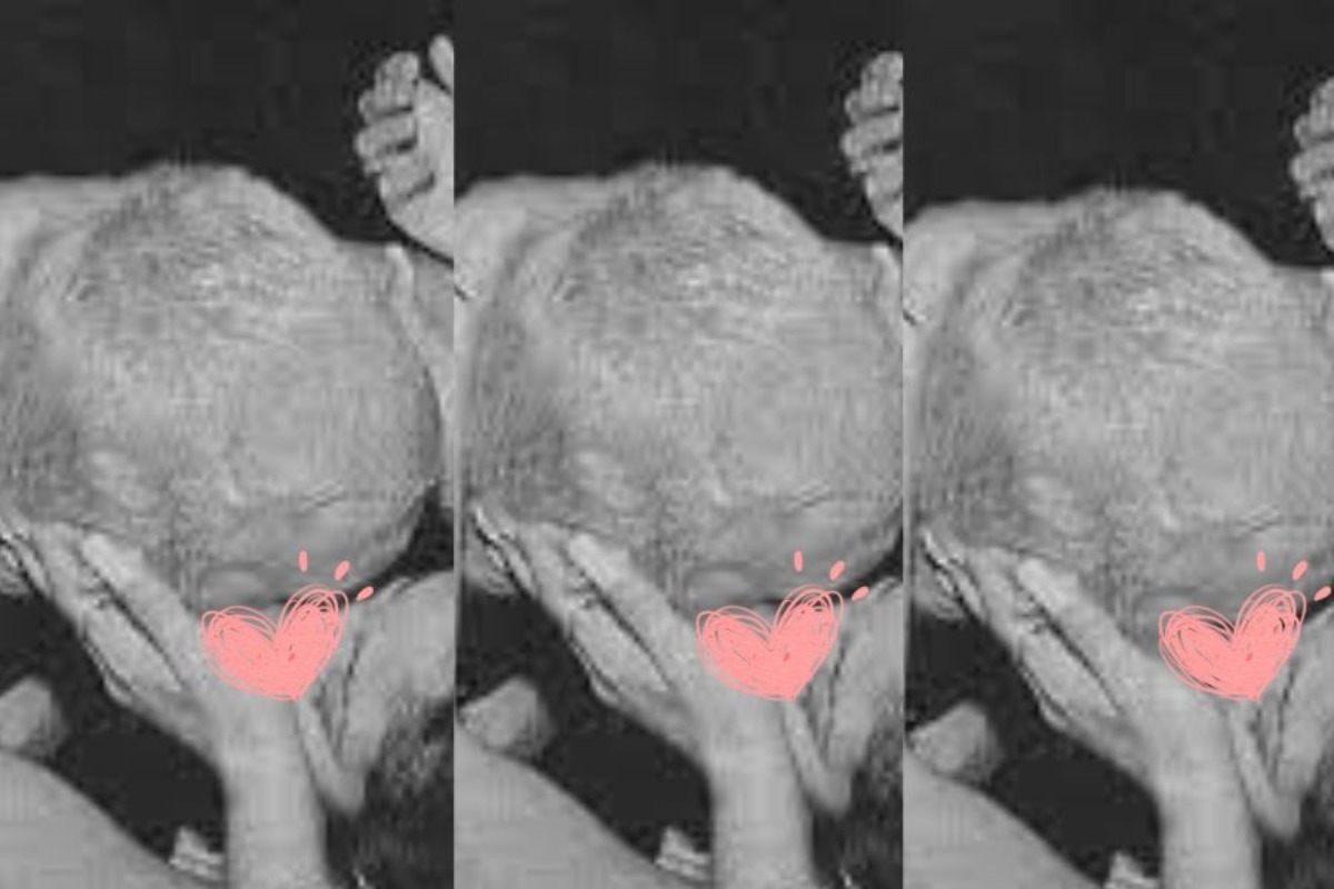 Ο διάσημος σταρ που είχε την τάση να φιλάει παθιασμένα τις θαυμάστριές του