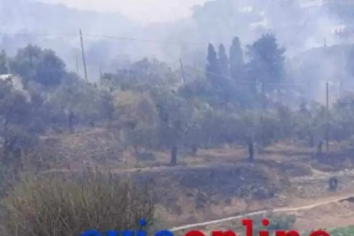 Φωτιά στην Κάρυστο: Εκκενώθηκαν δύο χωριά, απειλούνται σπίτια και στάβλοι ‑ Δείτε βίντεο