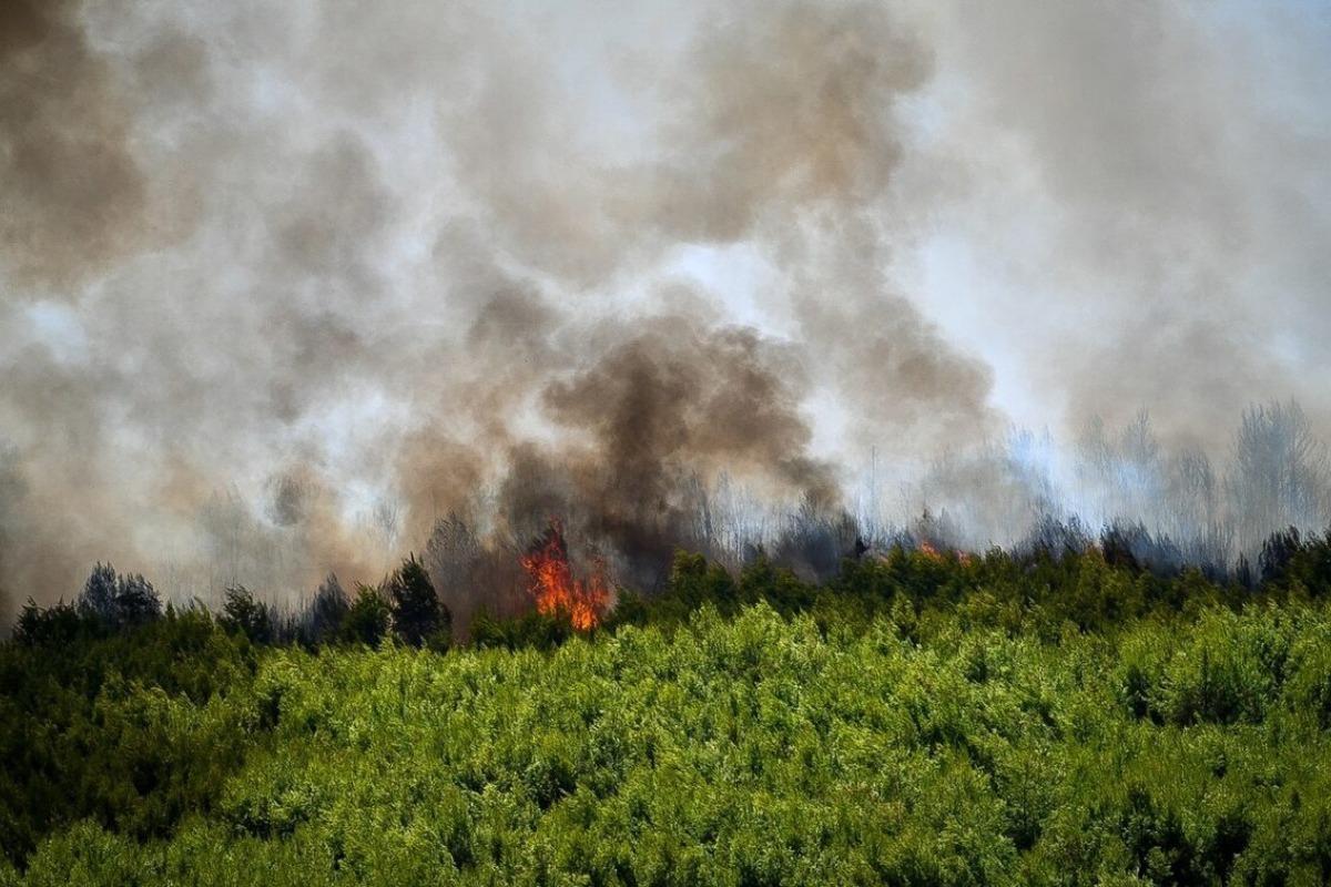 Φωτιά σε Ξάνθη, Λάρισα και Ασπρόπυργο