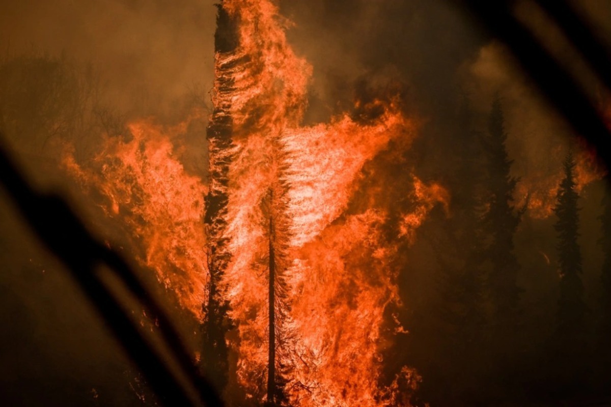 Μαγνησία: Απανθρακωμένος βρέθηκε ο αγνοούμενος βοσκός