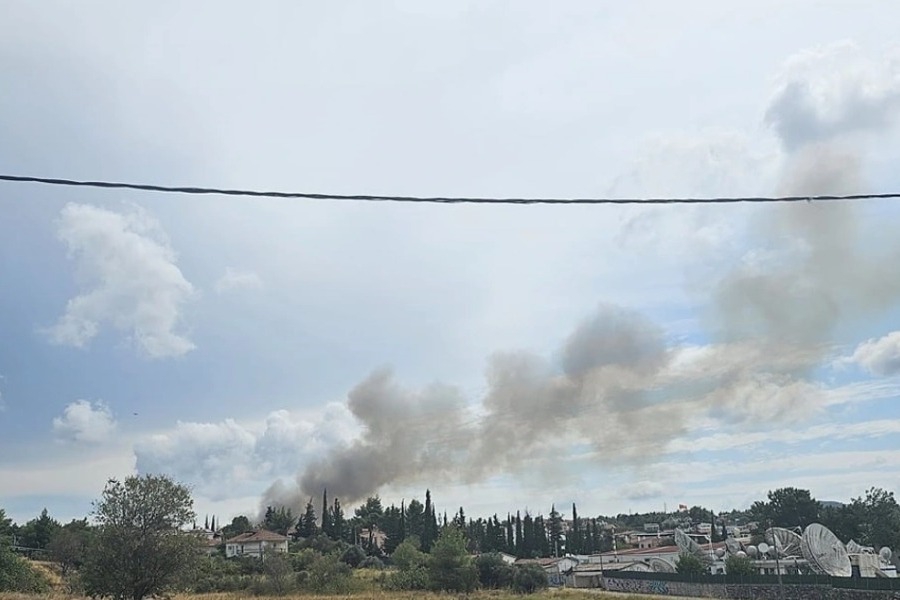 Συναγερμός στην πυροσβεστική: Φωτιά σε δασική έκταση στη Σταμάτα