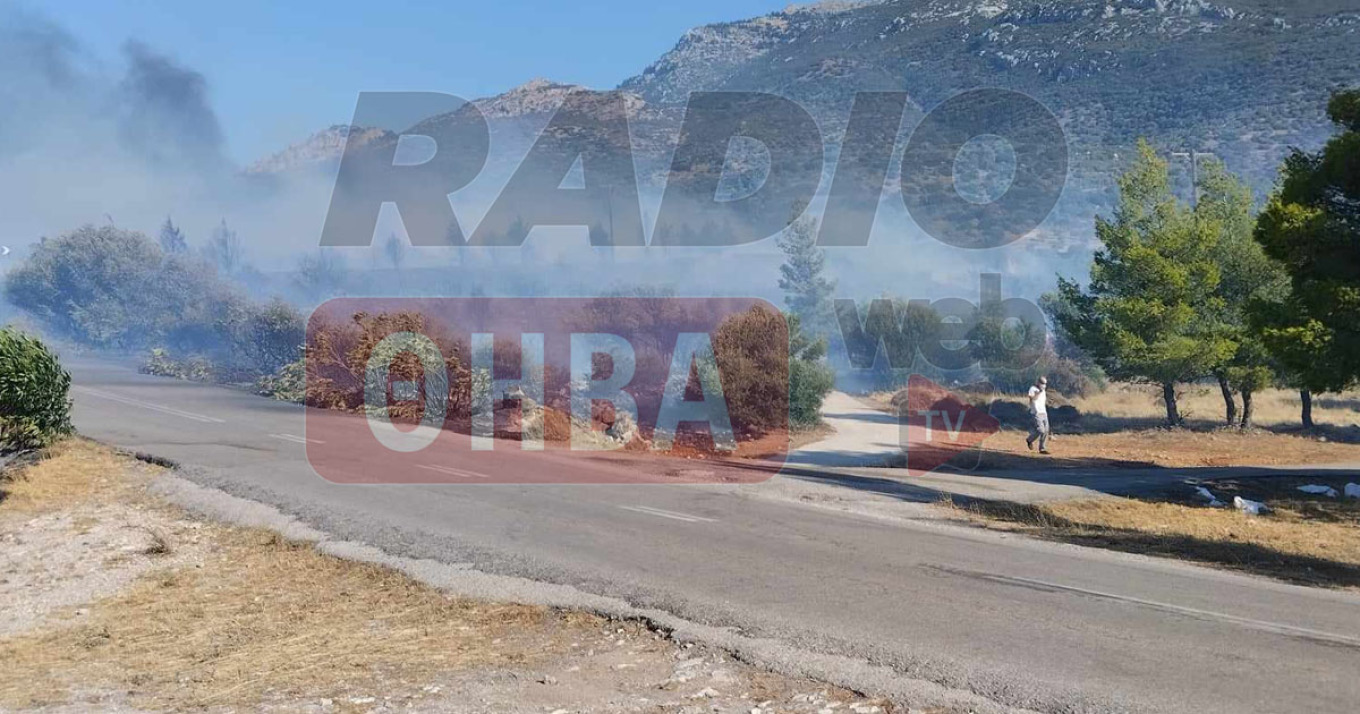 Φωτιά στο Αίγιο: Μήνυμα από το 112 για εκκένωση του οικισμού Κάστρο