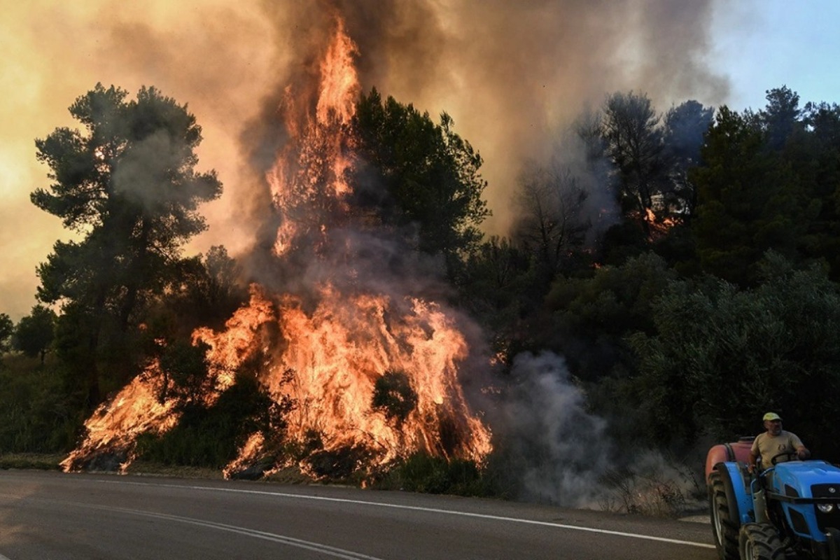 Κικίλιας: Συνελήφθη εμπρηστής την ώρα που έβαζε φωτιά στον Αγιο Στέφανο
