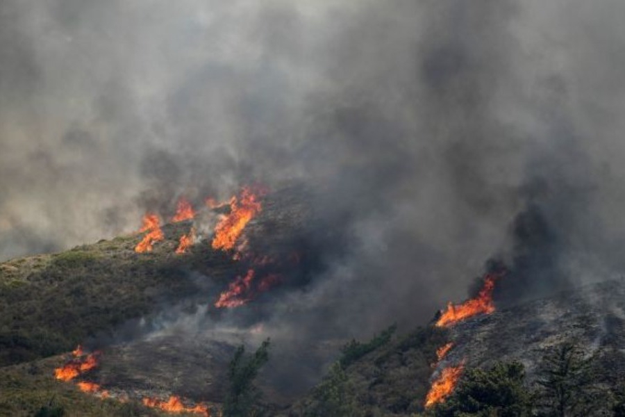 Φωτιές: Νεκρός ο κτηνοτρόφος που αγνοούνταν στην Κάρυστο