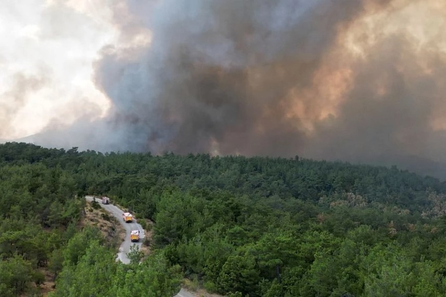 Φωτιά στον Έβρο: Μήνυμα από το 112 στην Λευκίμμη – Παραμείνετε σε ετοιμότητα