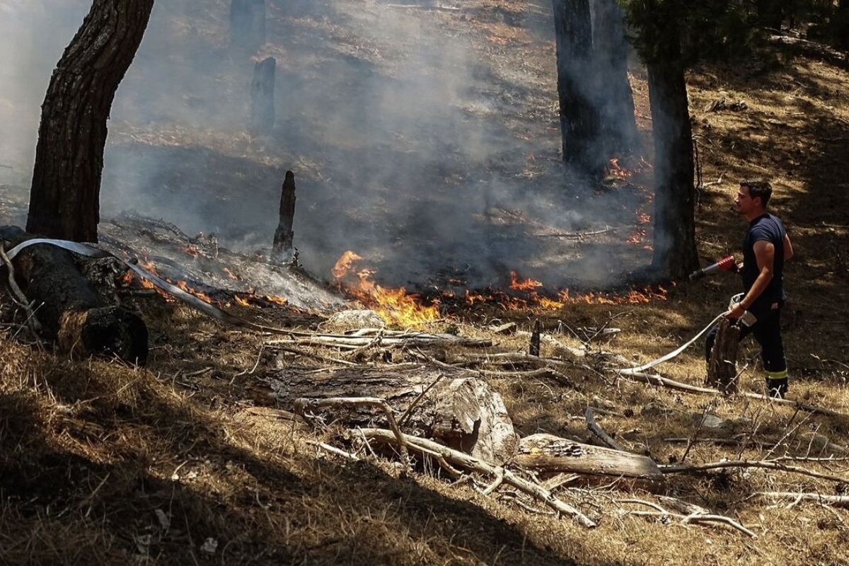 Φωτιά στην Κάρυστο: Εκκενώνεται το χωριό Πλατανιστός