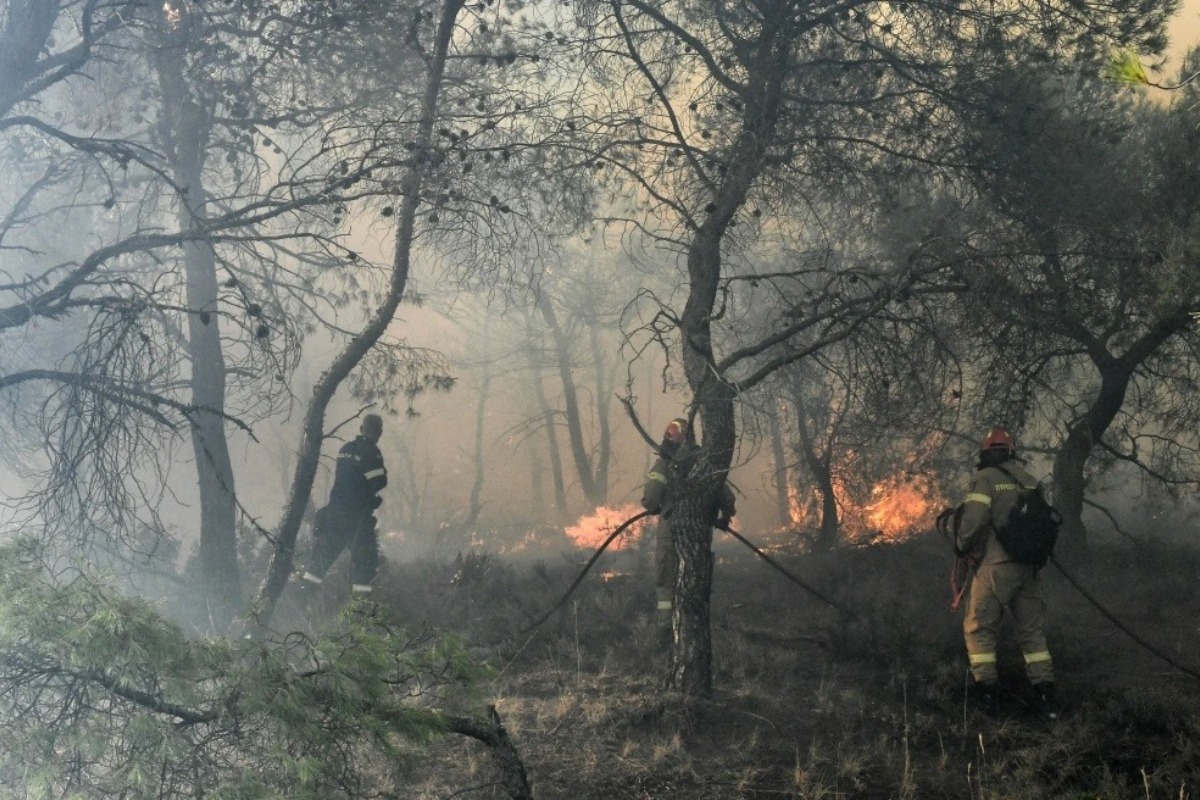 Φωτιά στη Χαλκίδα: Βίντεο με τις κινήσεις 52χρονου εμπρηστή