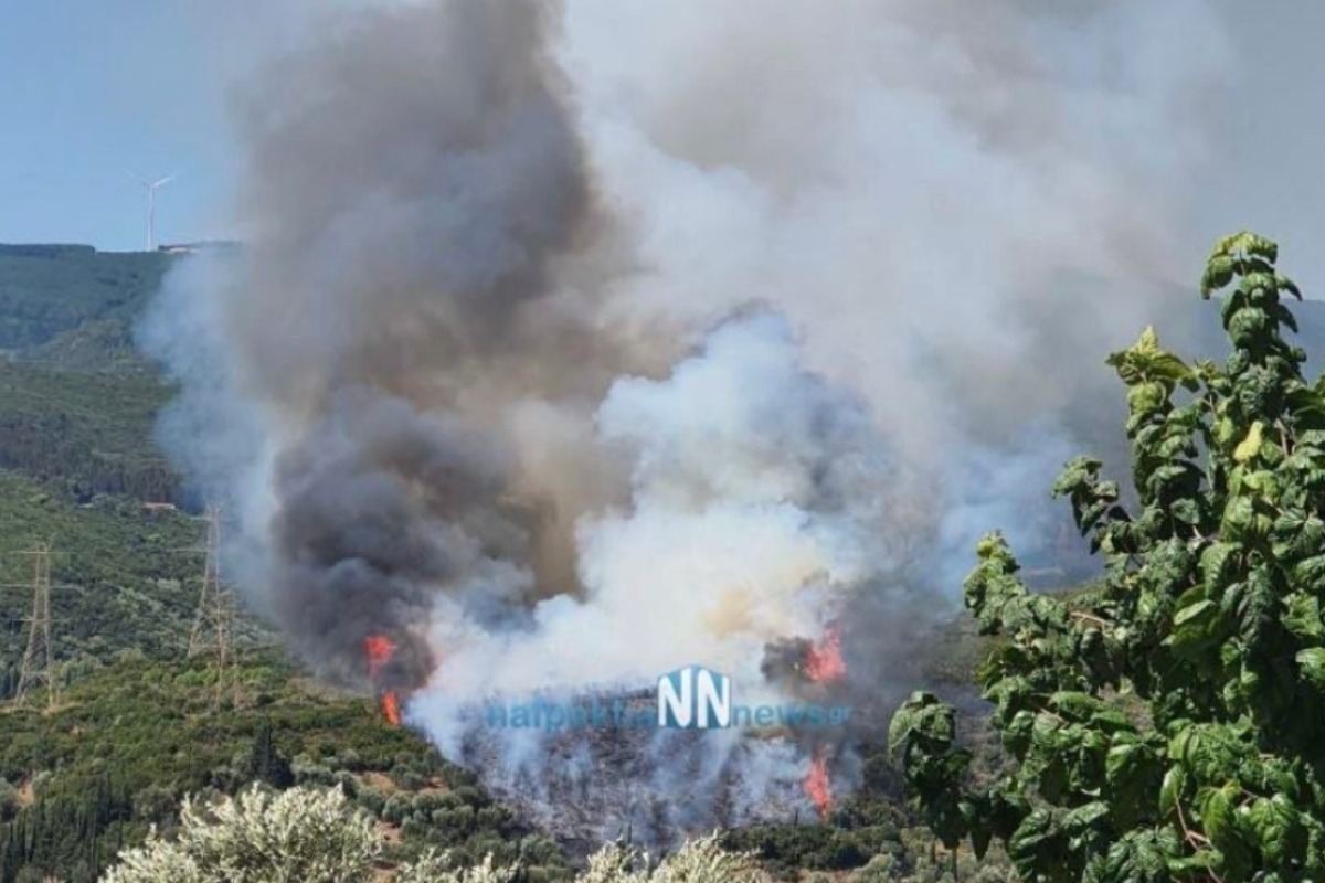 Φωτιά τώρα στην περιοχή Πλατανίτης Ναυπακτίας