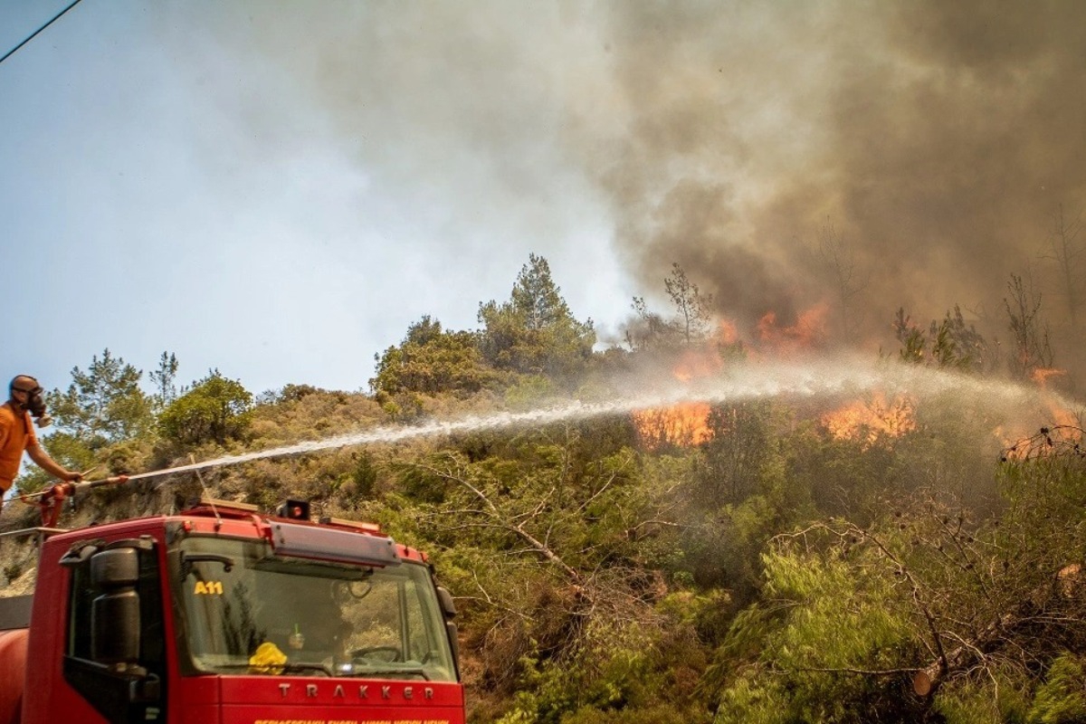 61 πύρινα «μέτωπα» το τελευταίο 24ωρο ‑ Μάχη με τις φλόγες σε Βελεστίνο, Λαμία και Ρόδο