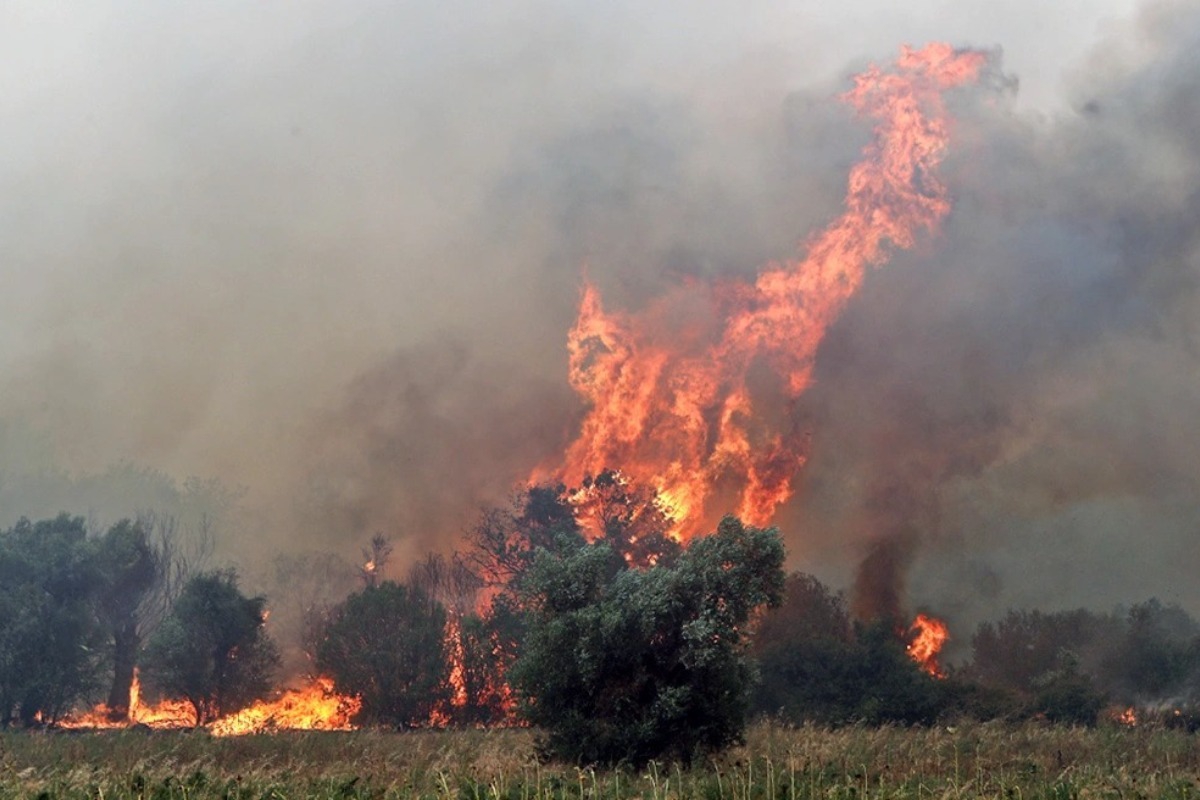 Αλεξανδρούπολη: Μήνυμα από το 112 για τους κατοίκους της Λεπτοκαρυάς