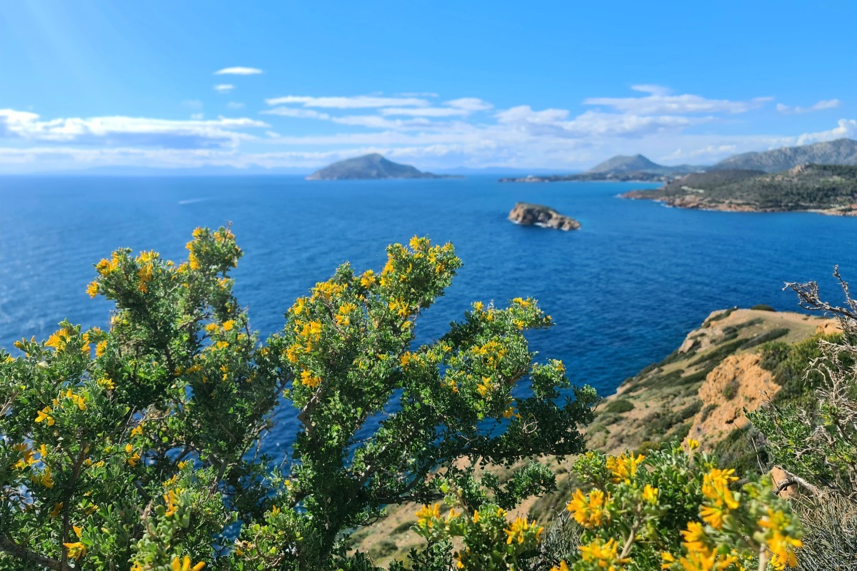 Πού να απλώσεις ελεύθερα την πετσέτα σου στην Αττική