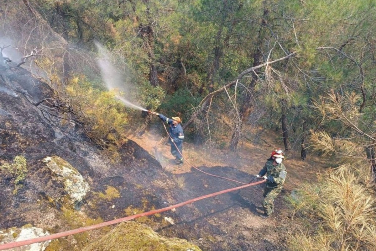 Δαδιά: Δυο παιδάκια ανάμεσα στους απανθρακωμένους