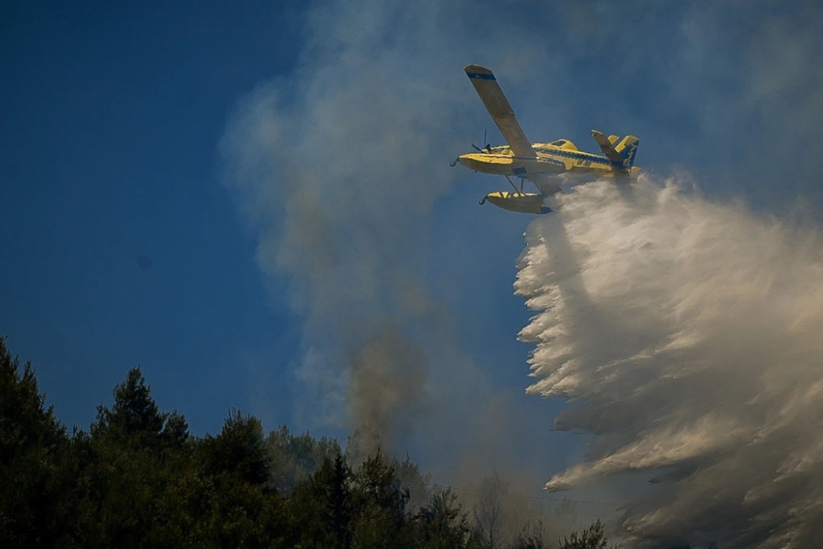 Πολλαπλά πύρινα μέτωπα στην Ηλεία ‑ Μήνυμα 112 σε οικισμόυς σε Παλαιοβαρβάσαινα, Σαλμώνη και Αρχαία Ολυμπία