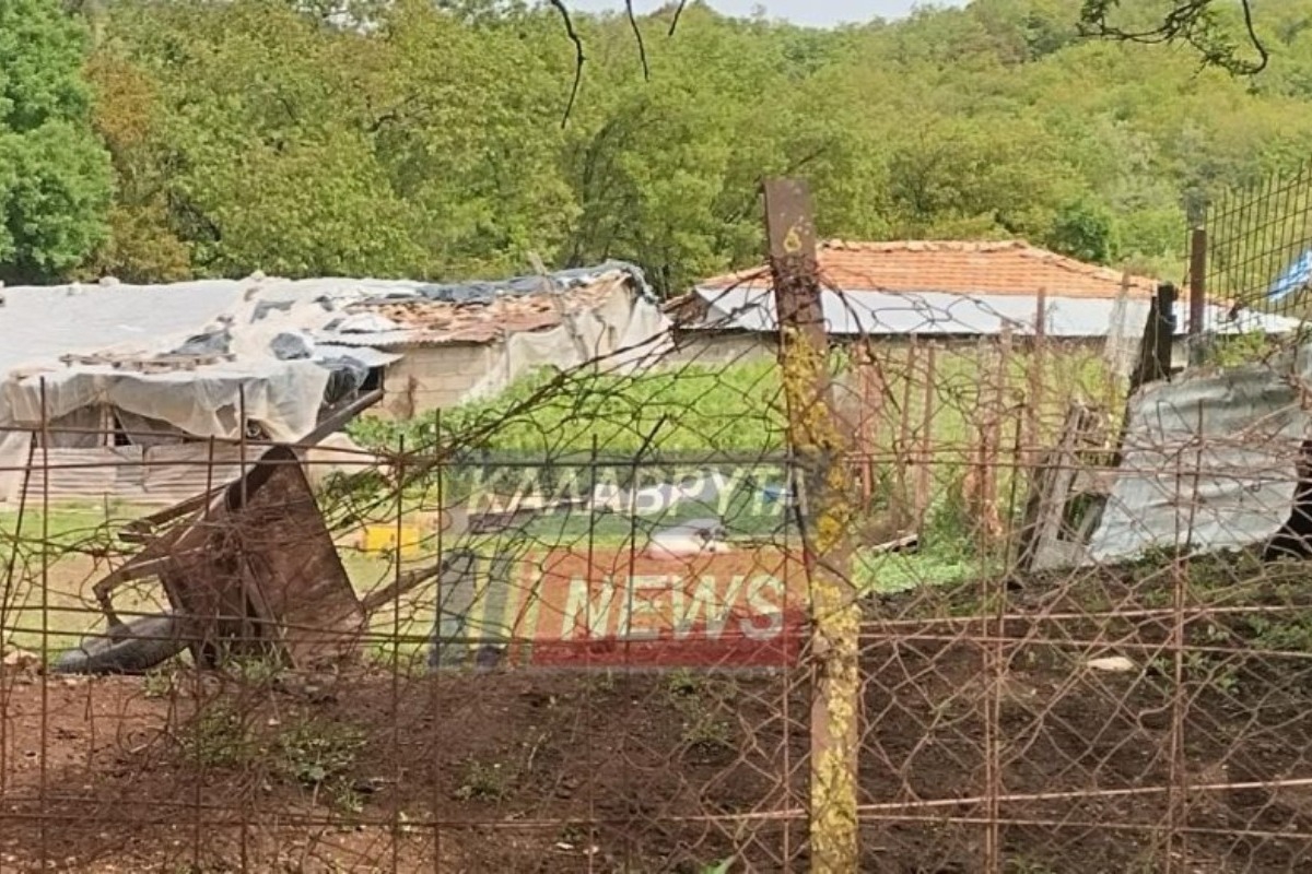 Θρίλερ στα Καλάβρυτα: Νεκρός 30χρονος μέσα σε στάβλο