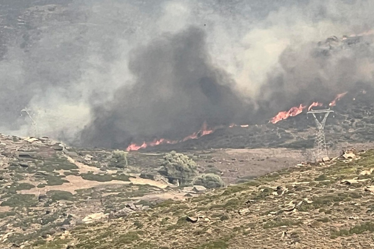 Φωτιά στην Κάρυστo: Αγνοείται κάτοικος του Πλατανιστού ‑ Καίγονται σπίτια