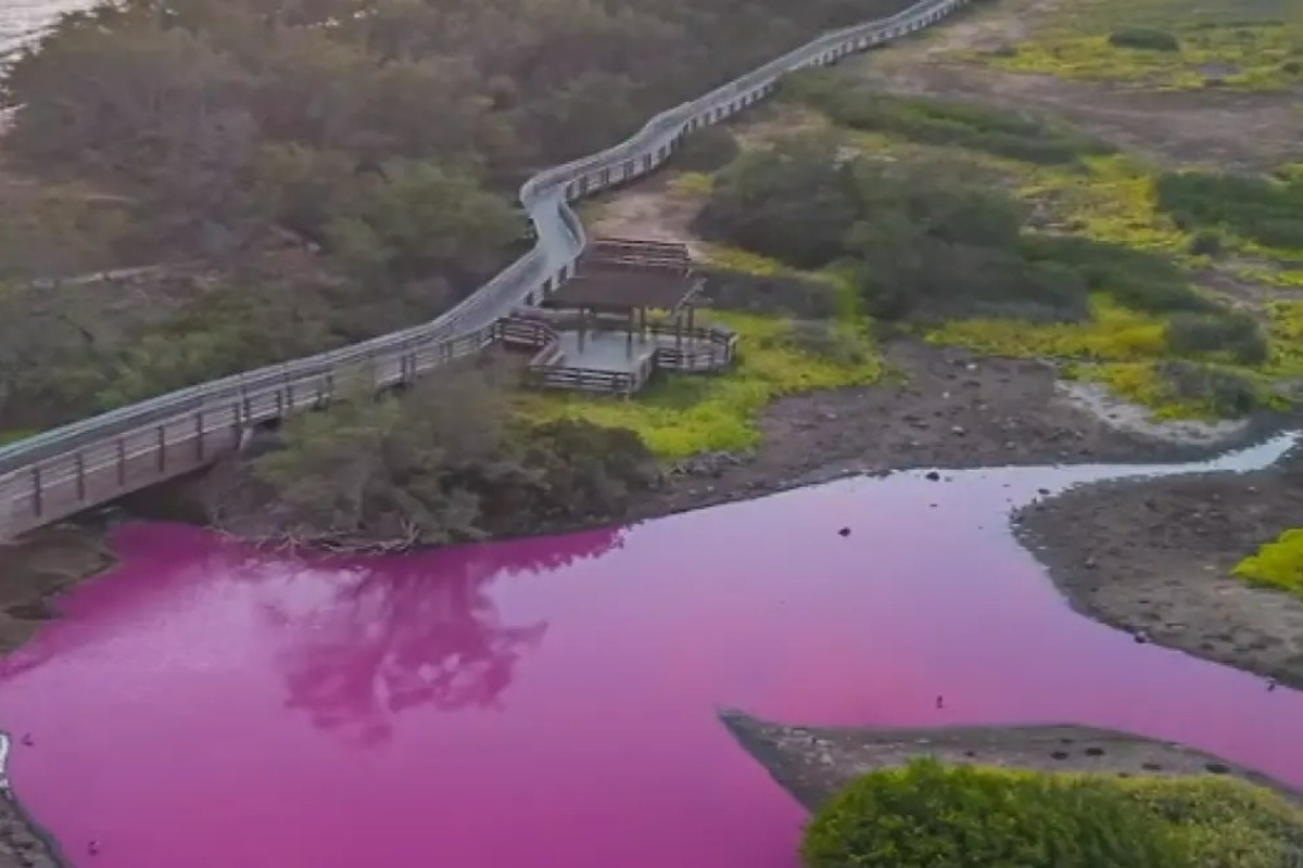 Λίμνη στη Χαβάη έγινε ροζ ‑ Τι εξετάζουν οι επιστήμονες