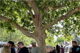 Ηλεία: Επεισόδια στα δικαστήρια ‑ Λίντσαραν τον δολοφόνο της 11χρονης
