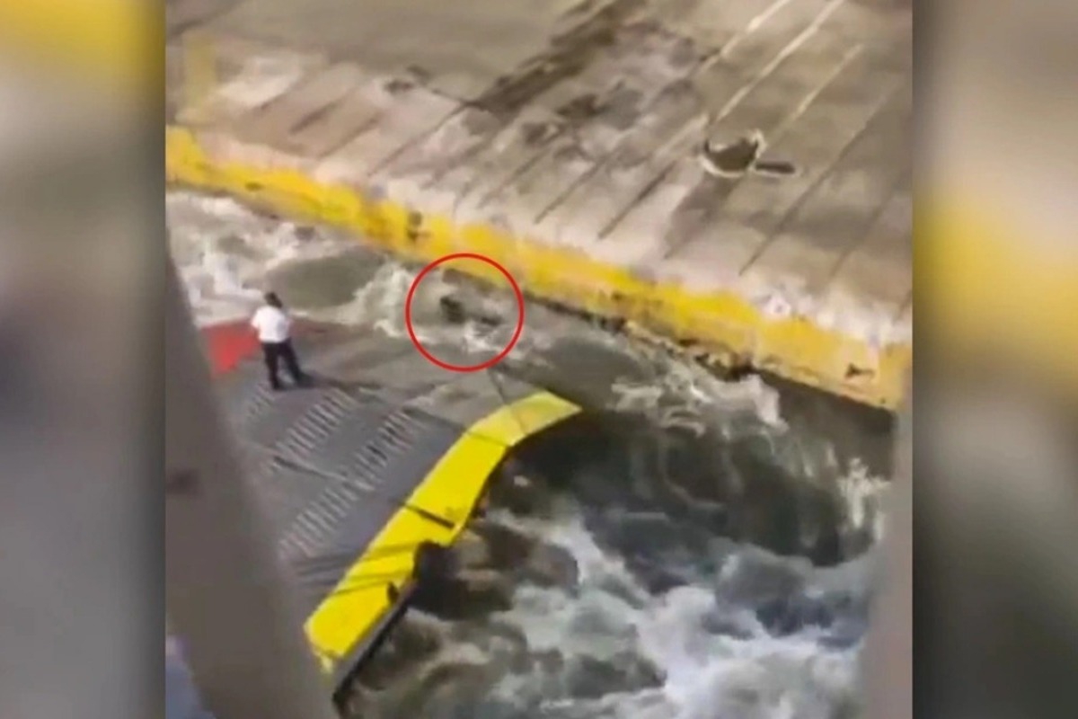 Blue Horizon: Προφυλακίστηκαν πλοίαρχος και ύπαρχος για τη δολοφονία του Αντώνη