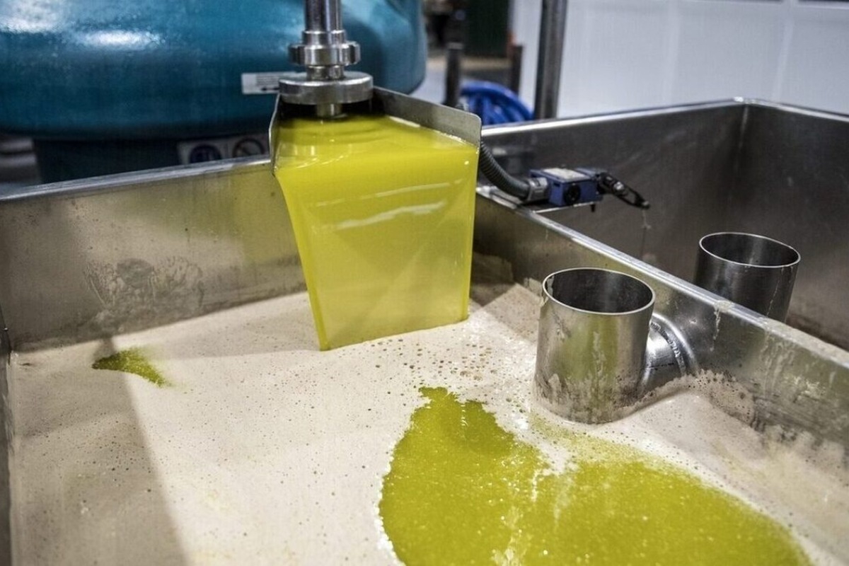 Δράμα: Σύλληψη για λαθρεμπόριο λαδιού ‑ Τον «τσάκωσαν» με 400 λίτρα ελαιόλαδο!