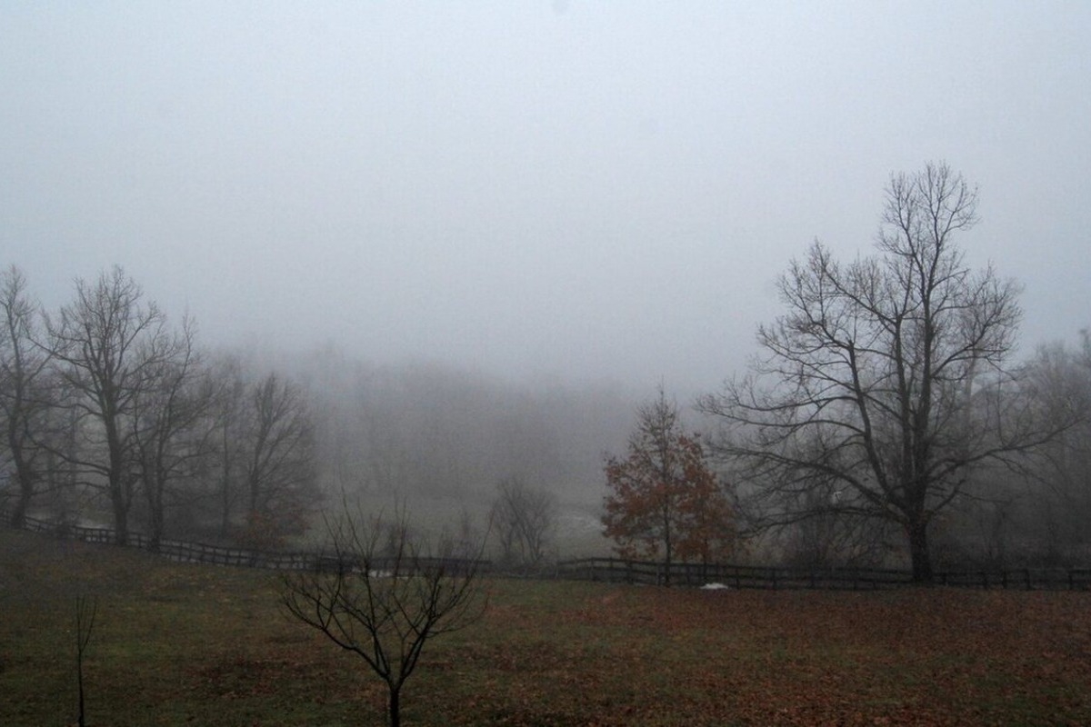 Με δύο «πρόσωπα» ο καιρός την Τσικνοπέμπτη – Πού θα σημειωθούν βροχές και καταιγίδες