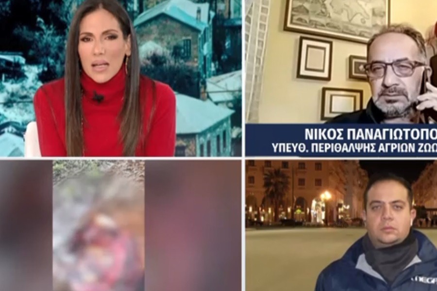 Σοκάρουν οι αποκαλύψεις για το θάνατο τεσσάρων αλόγων στη Σαμαρίνα