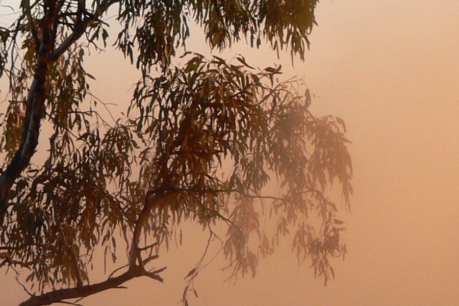 Καιρός: Θερμή «εισβολή» με αφρικανική σκόνη και υγρασία τα επόμενα 24ωρα
