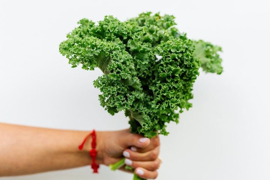 Οι διαιτολόγοι συμφωνούν: Τα 3 λαχανικά που πρέπει να τρώτε κάθε μέρα για ένα υγιές σώμα άνω των 40
