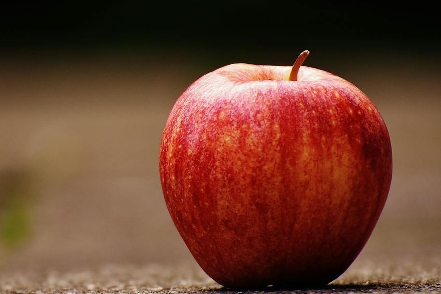 Μύθος ή αλήθεια πως ένα μήλο έπεσε στο κεφάλι του Νεύτωνα;