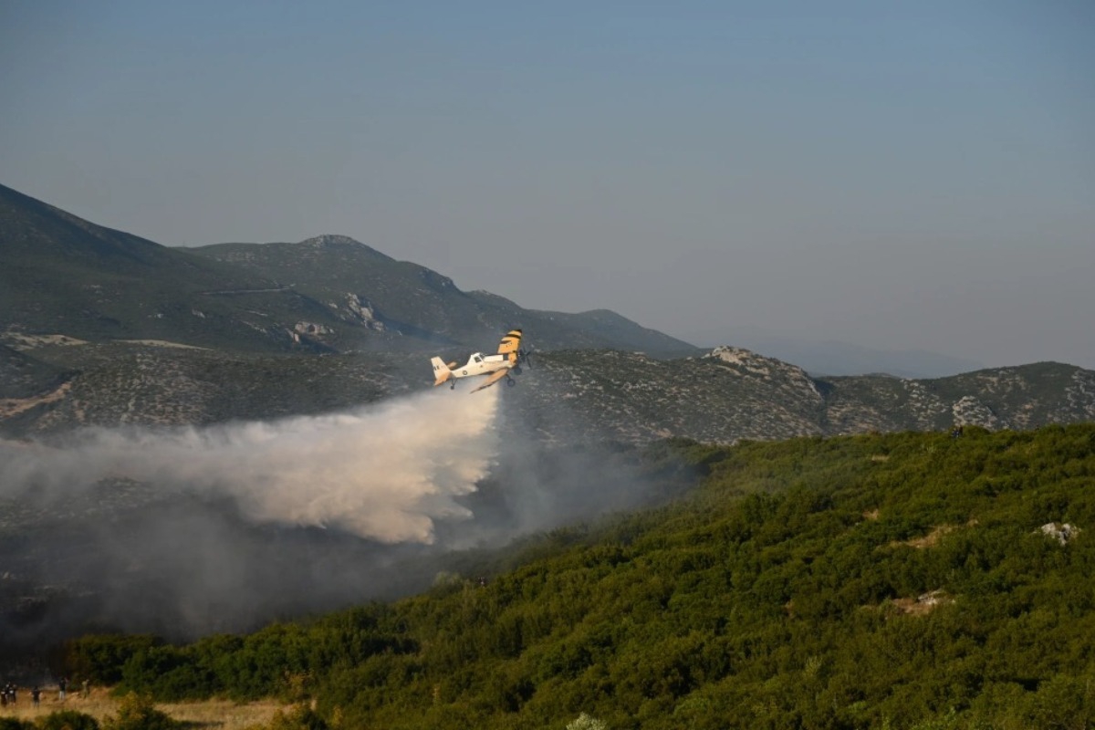 Πυρκαγιά στη Μεσσηνία